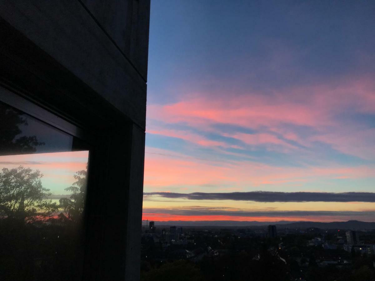 Ferienwohnung-Freiburg-Exklusiv מראה חיצוני תמונה