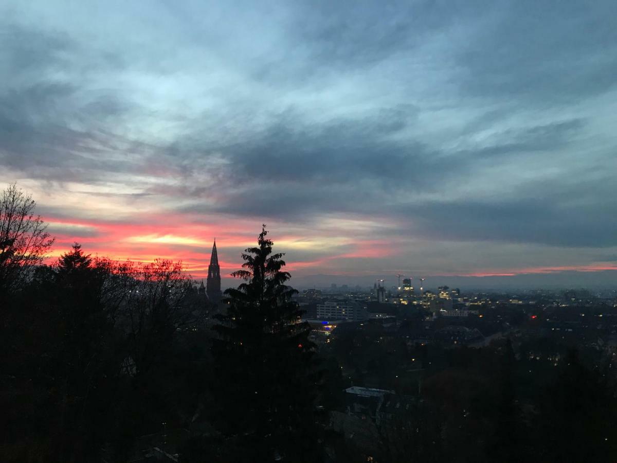 Ferienwohnung-Freiburg-Exklusiv מראה חיצוני תמונה